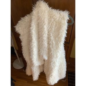 Aerie Fur Vest